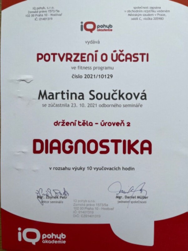 IQ DIAGNOSTIKA